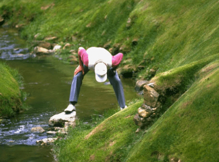 Screen Shot 2018-10-30 at 12.07.54 PM