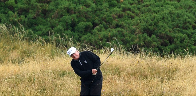 Screen Shot 2018-11-01 at 12.14.16 PM